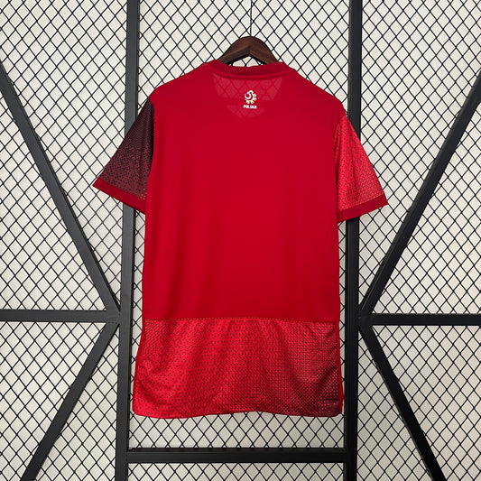 Poland Euro 2024 Away Jersey